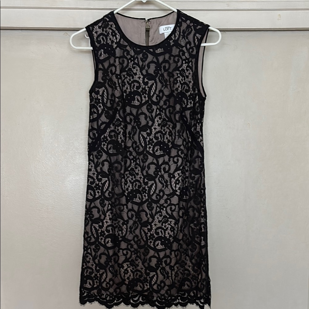 Ann Taylor Loft dress, size 0